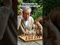 ​Grandmaster vs Squirrel: Who will win? 🐿️♟️