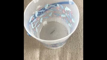 Gone Fishin’! #fishing #stopmotion #stopanimation #lurefishing #lure #fishingvideo #fish #fisherman