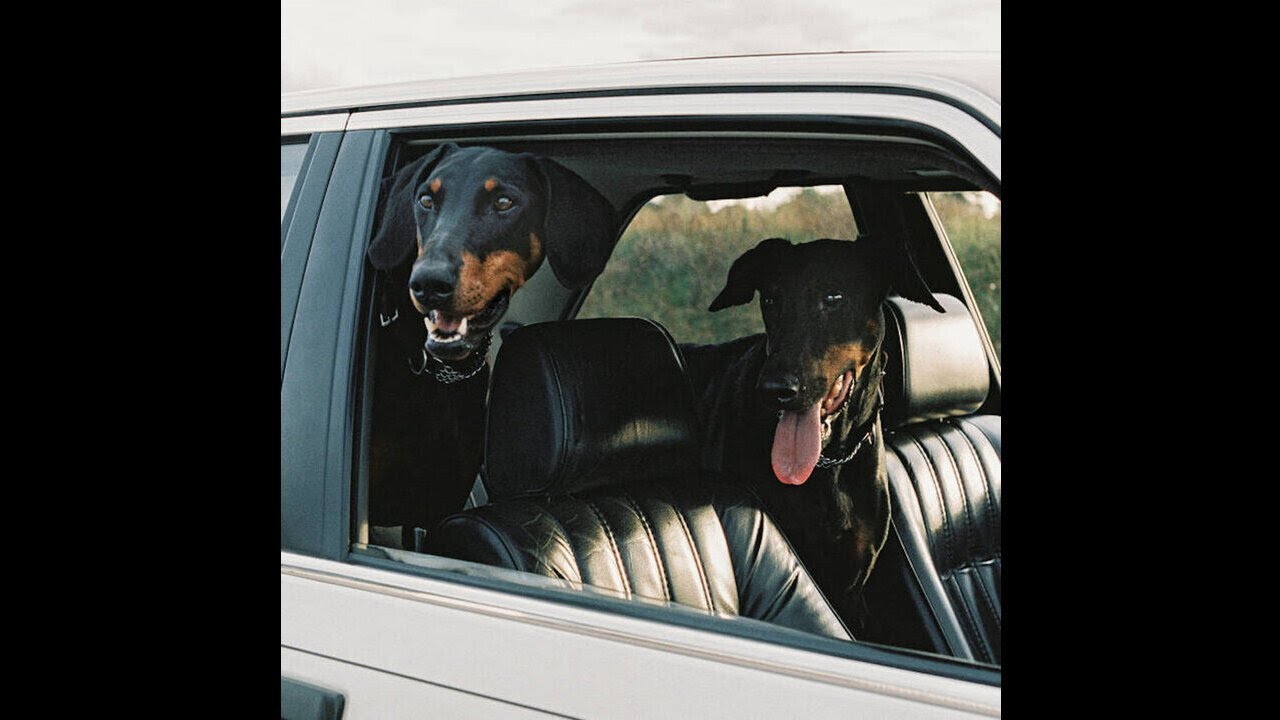 Ver Overmono - Clipper (Another 5 Years) [XL1100T] no YouTube