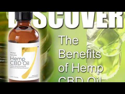 Understanding the Underlying Promise: CBD and Your Body