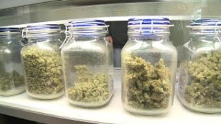 Petition push for medical marijuana
