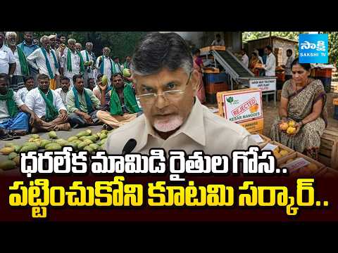 ధరలేక మామిడి రైతుల గోస..పట్టించుకోని కూటమి సర్కార్.. Mango Farmers in Distress Over Poor Prices - SAKSHITV