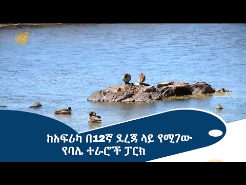 ቪዲዮ: የሴራ ማድሬ ተራሮች የት አሉ?