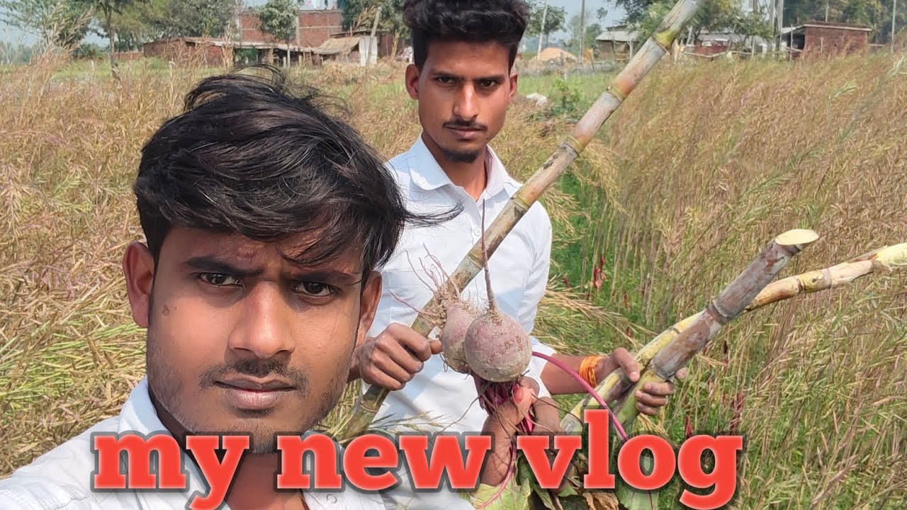 My new vlog #vlog #vlogger #vlogging 