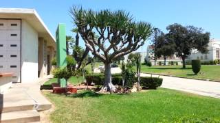 Hal Roach Jr. Gravesite, Calvary Cemetery,  East Los Angeles, CA - Little Rascals