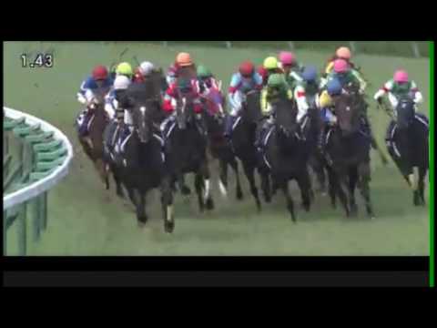 【レース回顧】2016　宝塚記念／夏を先取り！マリアライトが春のグランプリを奪取　結果動画コメント付き