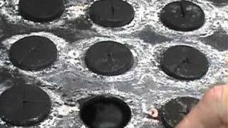 Starts for Aeroponics