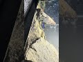 Snake attacks slug #snake #snakevideo