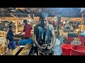 🔴 LIVE Fish Cutting & Filleting | Ultimate Fish Cuts | Pro Cleaning Techniques USA #Fishcutting