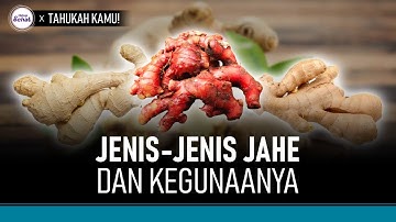3 Jenis Jahe di Pasaran dan Manfaatnya | Hidup Sehat tvOne