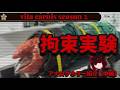 【赤い革命】「vita carnis」について解説、考察します【中編】【analog horror/アナログホラー解説】修正版