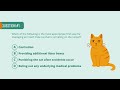 Behavioral problems in cats quiz  merck veterinary manual