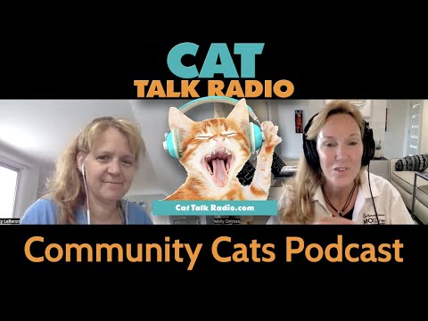 Cat Talk Radio - Community Cats Podcast