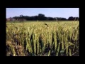 Lucky Dube Reap What You Sow Lucky Dube Reap What You Sow