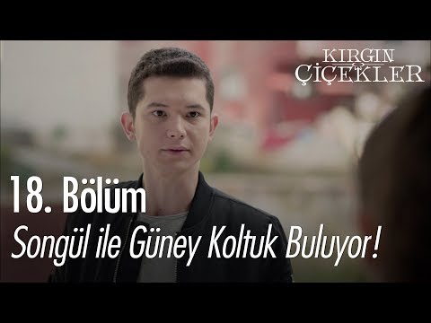 Songül ile Güney koltuk buluyor! - Kırgın Çiçekler 18. Bölüm