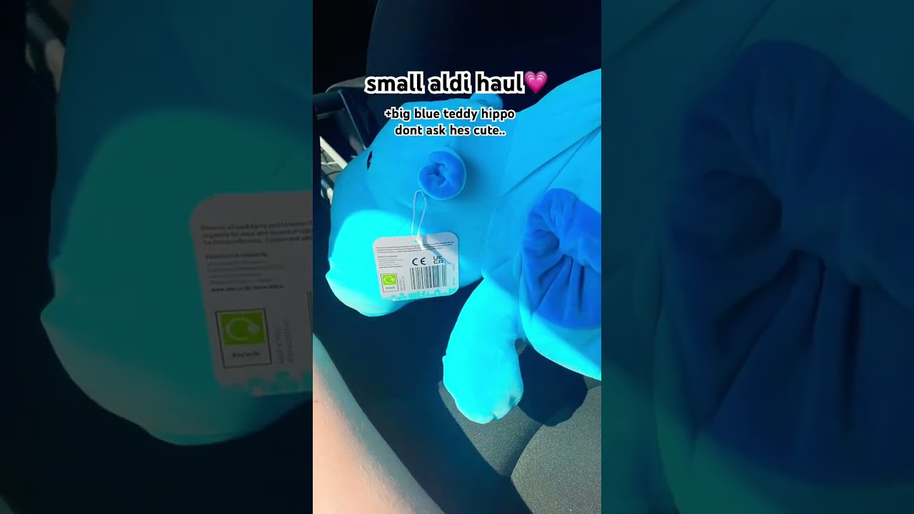 Aldi haul💗— 