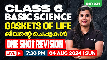 Class 6 Basic Science | Caskets of Life - ജീവന്റെ ചെപ്പുകൾ - One Shot Revision | Xylem Class 6