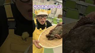 ギョギョッとサカナ★スター！NHK Eテレ 5月10日(金)午後7時25分～【特別授業IN名古屋】 #shorts  #さかなクン