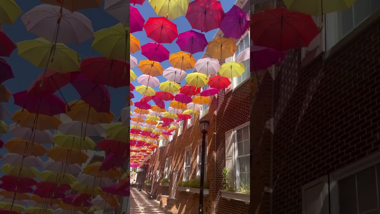 Umbrella sky