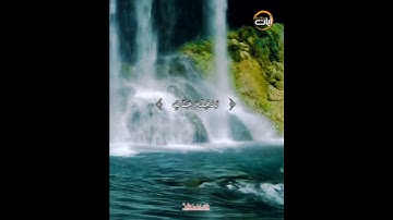 تلك حدود الله // الشيخ أحمد النفيس - آيات من كتاب الله
