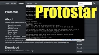 Protostar net1 - Convert binary integers into ascii representation