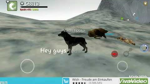 wolf online [CelishMod]~infobox~