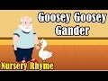 Kids nursery rhymes  goosey goosey gander with lyrics