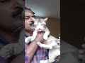 Cat L👿over ||Funny Cat || Love😼