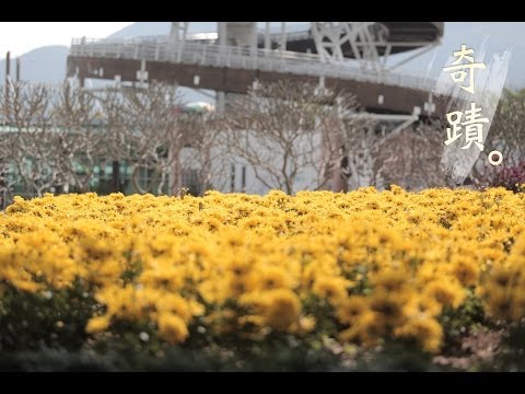 | 二樓轉角 The 2/f corner. | 鄧紫棋 G.E.M. － 奇蹟 [Still-Picture MV] |