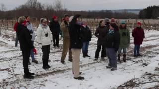 Winter Hike with the Montzuma Audubon Center