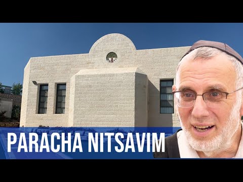 Paracha nitsavim : Se sentir tous concerné !