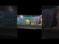 UNA PELÍCULA MAS JOE RONE MBE RPC99 HISTORIAS DE UN CREW