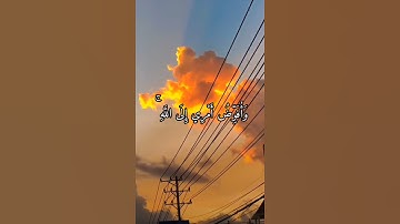 وَأُفَوِّضُ أَمْرِي إِلَى اللَّهِ ۚ إِنَّ اللَّهَ بَصِيرٌ بِالْعِبَادِ﴾ القارئ عبد الباسط