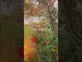 رب نے کہا تیرے ساتھ ہوں میں۔