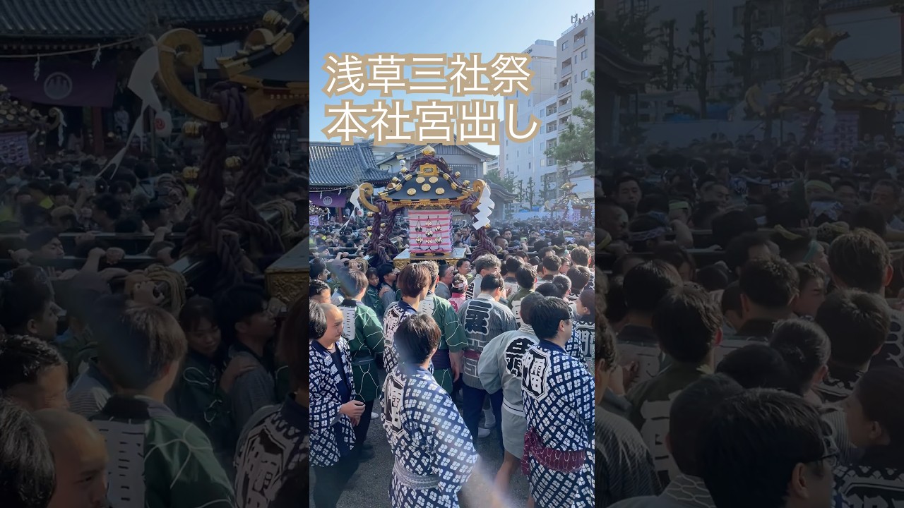 浅草神社境内に神輿が溢れる！三社祭 宮出し【浅草三社祭2026】#日本
