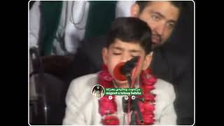 Qari Umayed Husaini