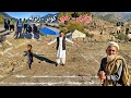 Home Aid For Kunar Earthquake Victims Afghanistan د کونړ زلزله د کور مرسته 
