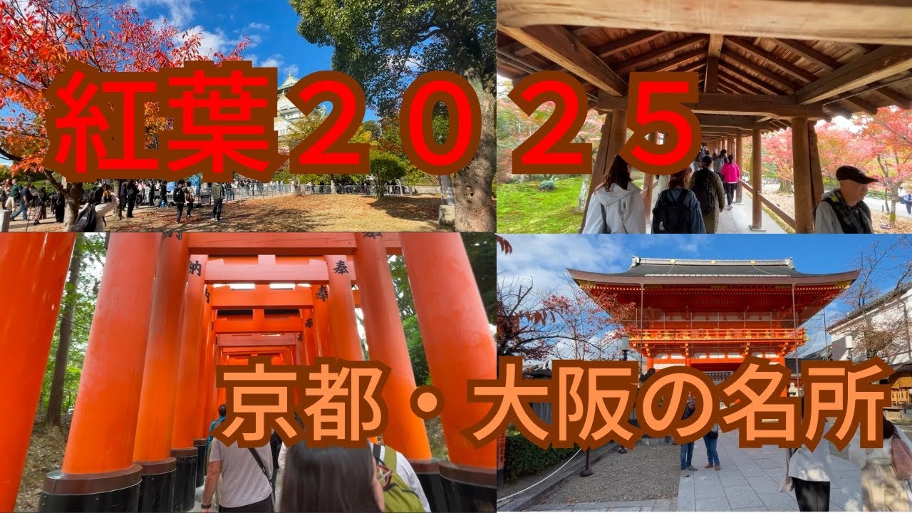 ２０２５年紅葉　京都と大阪で超有名な紅葉の名所を巡ってきました。京都の紅葉はやはり日本一ではないでしょうか。ごゆっくり晩秋の紅葉をご堪能ください。