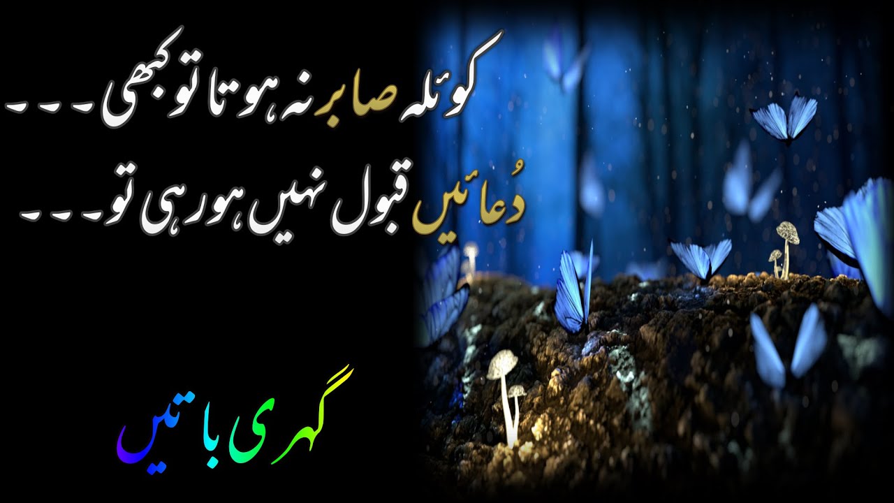 Deep Thoughts | Precious Lines Urdu Hindi|Syed Zaadi