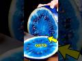 Top 3 Watermelons You Never Knew Existed‼️😱#facts #fruits #watermelon #rare #didyouknow#animalfacts