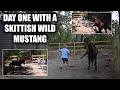 Day One With A Skittish Wild Mustang