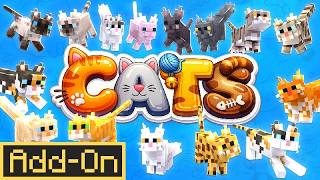 Minecraft But Cats Have SKILLS &amp; LEVEL UP… (Add-On Review!)