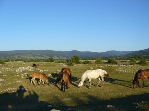 motobałkany---bośnia,-czarnogóra-i-serbia-na-motocyklu