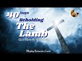 40 days of beholding the lamb intro qa