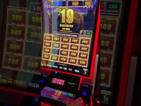 Cool Cat Casino No Deposit Bonus 25 Free Spins | Exclusive promo code 2025 | Bonusfanatic.com