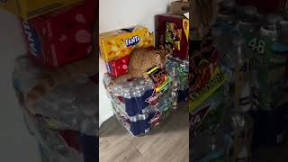 #91 Funny Cat videos#meowing#memes #cute