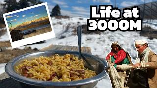 Life At 3000M How People Survive In The Himalayas Rara Lake, Mugu District Travel Guide Itinerary