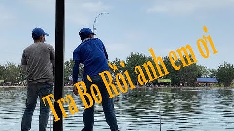 fishing Câu Cá Tra Giải Hồ Hải Long Vương Bắt Cá Tra Bò Và Cái Kết