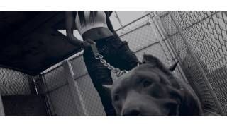 OVER HARD MUSIC GROUP - STACKBULLYS OVERHARD - THE COMISSION