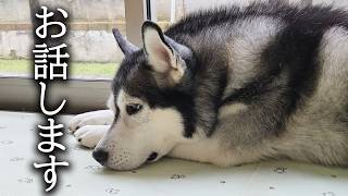 緊急事態で急いで病院に行くことに…